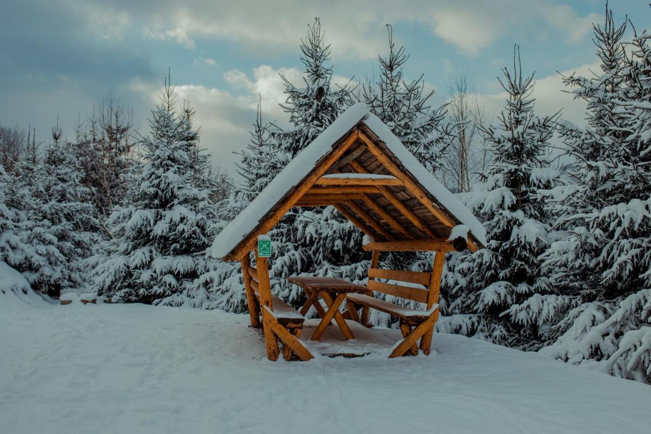 Hotel Conacul Drahneilor Ruscova Exteriér fotografie