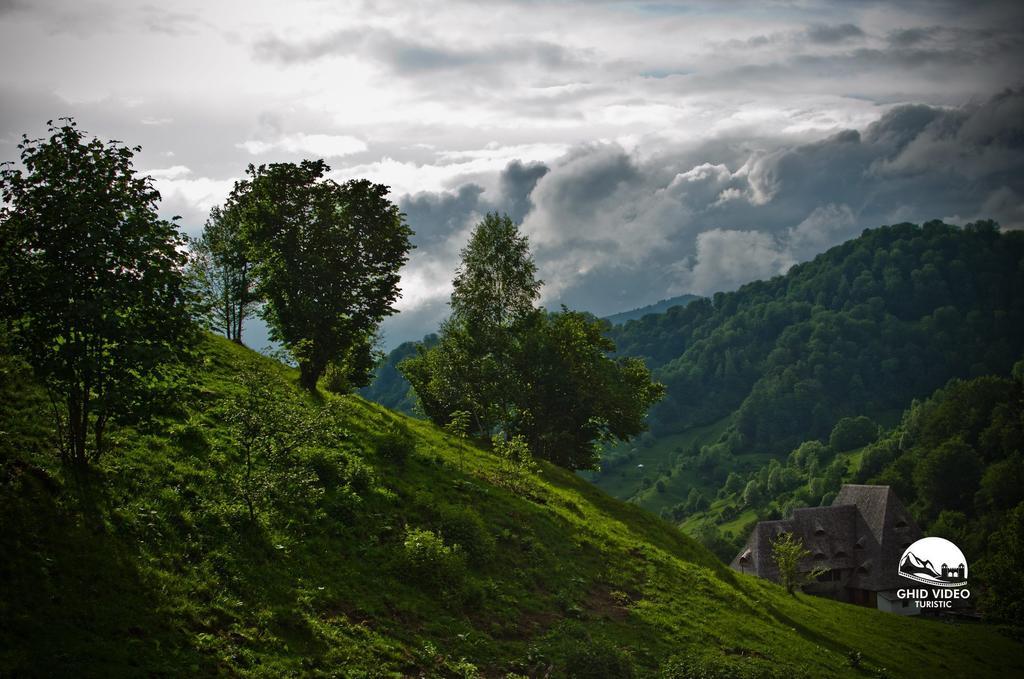 Hotel Conacul Drahneilor Ruscova Exteriér fotografie
